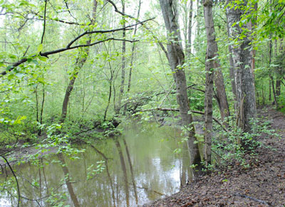 glimsinjoki glimsinjoki