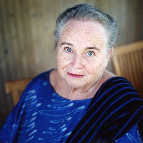 Vivi-Ann Sj&ouml;gren